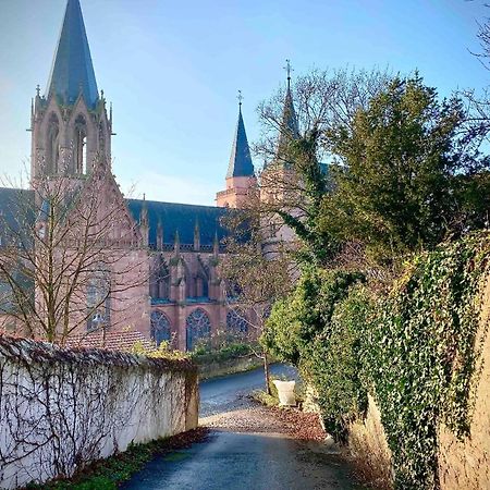Schoenster Blick Auf Oppenheim! Exteriör bild